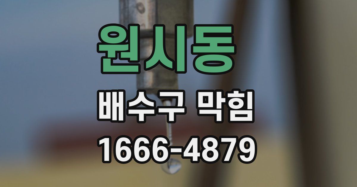 원시동 배수구 막힘