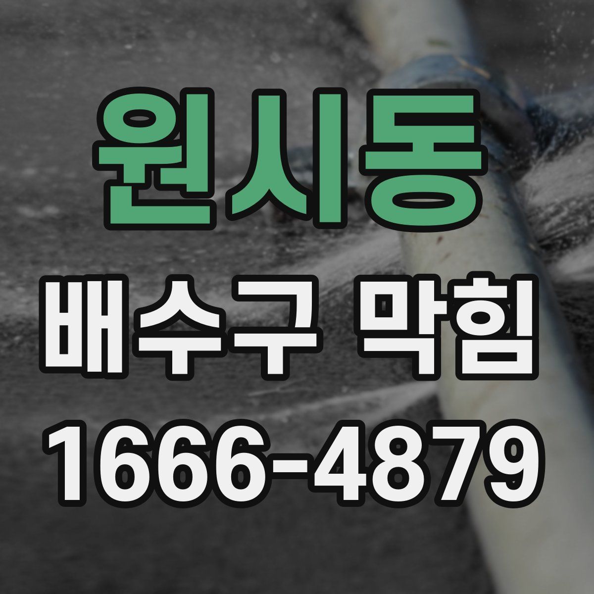 원시동 배수구 막힘