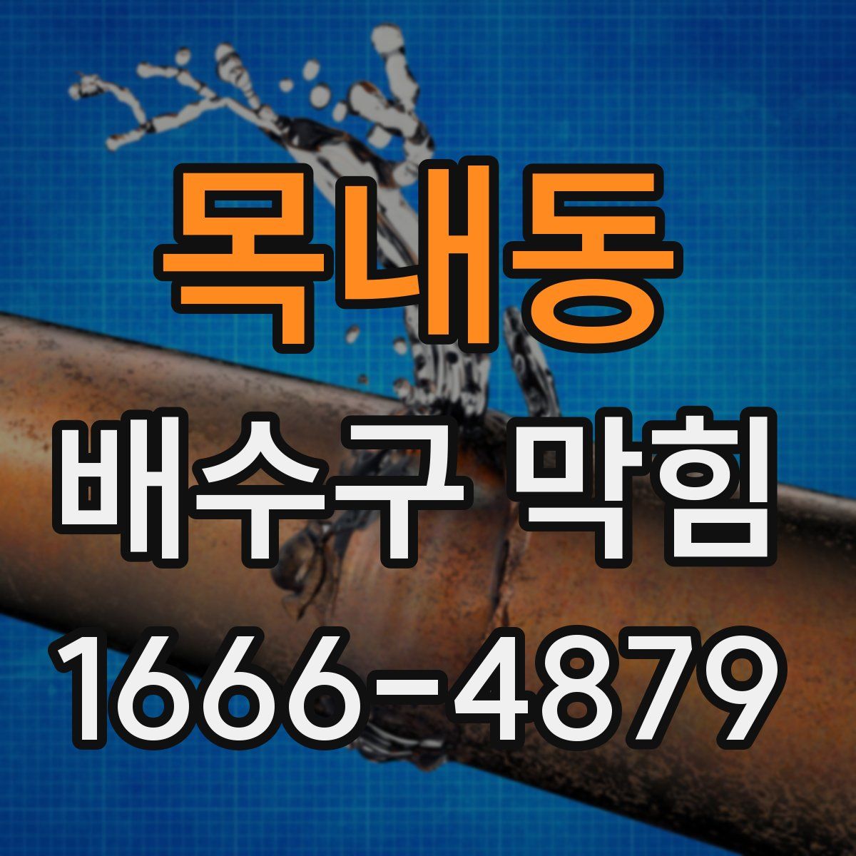 목내동 배수구 막힘