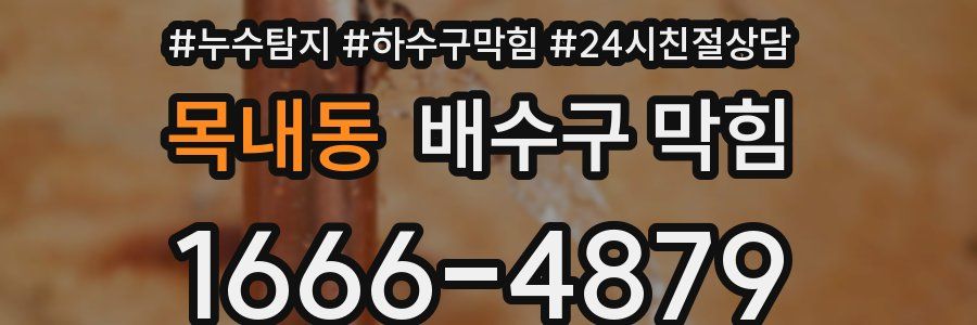 목내동 배수구 막힘
