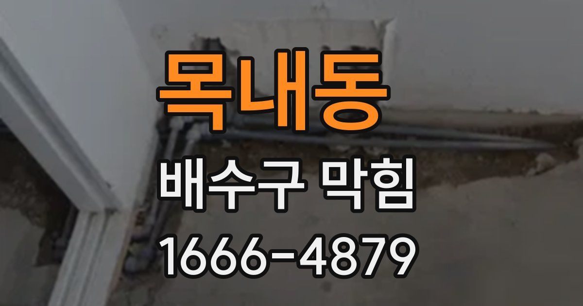 목내동 배수구 막힘