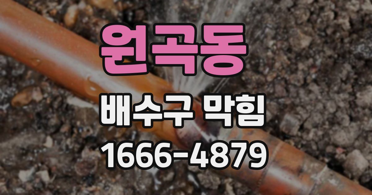 원곡동 배수구 막힘