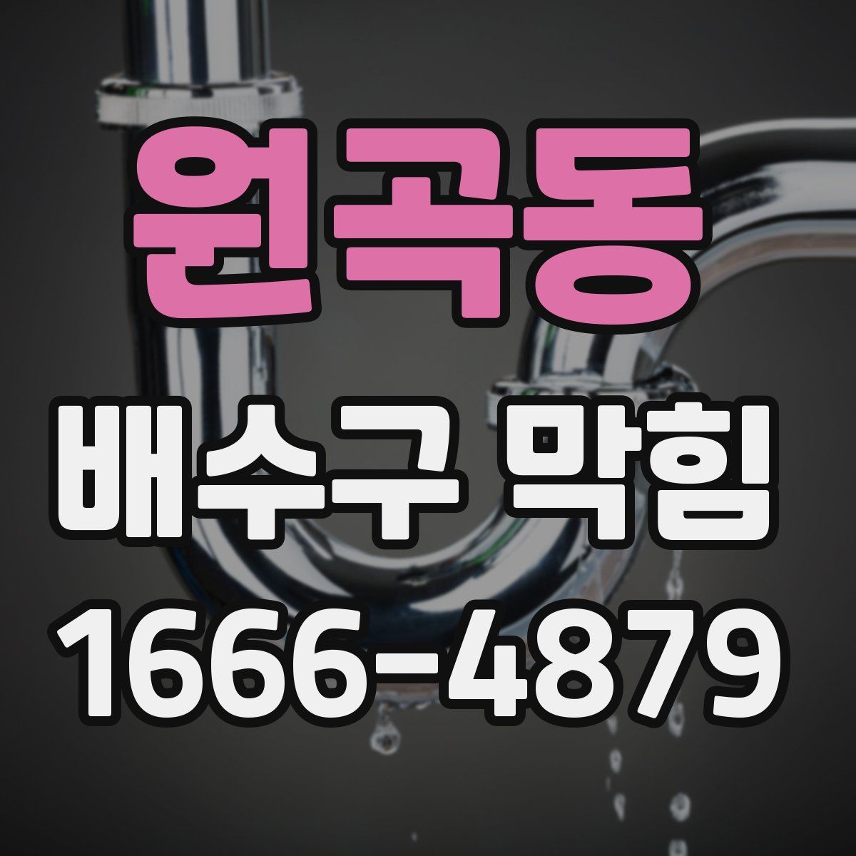 원곡동 배수구 막힘