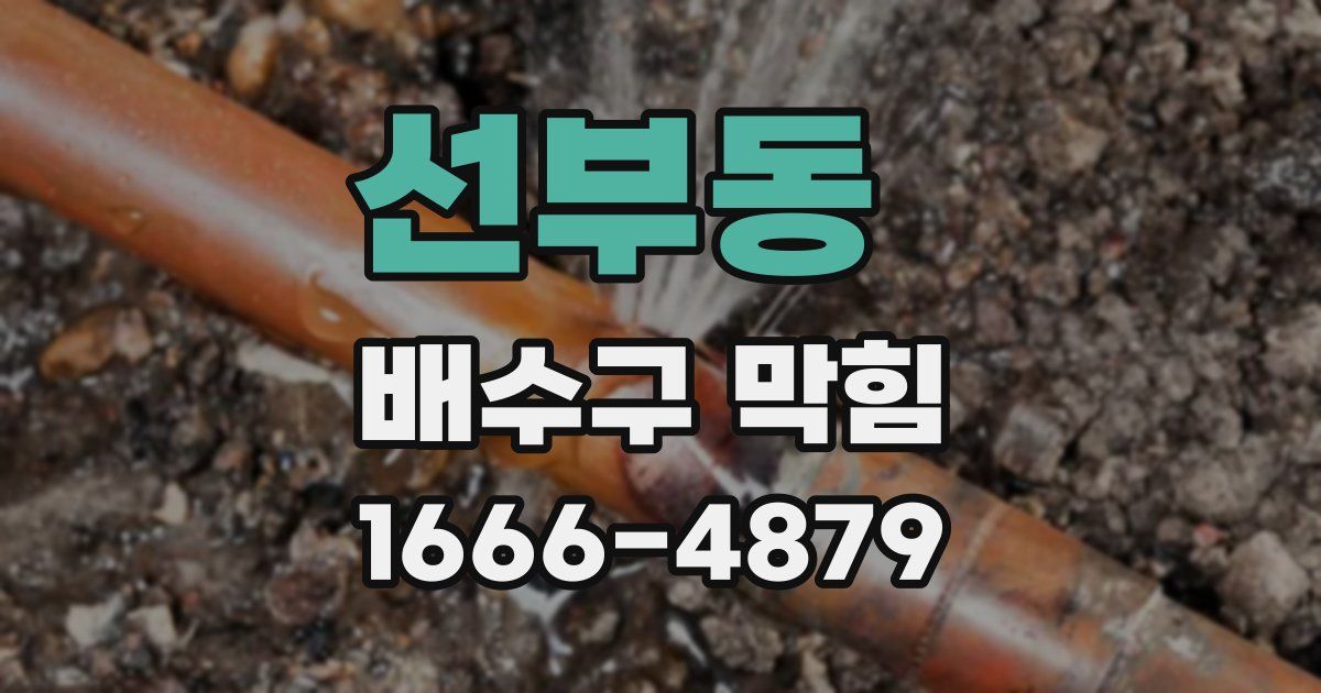 선부동 배수구 막힘