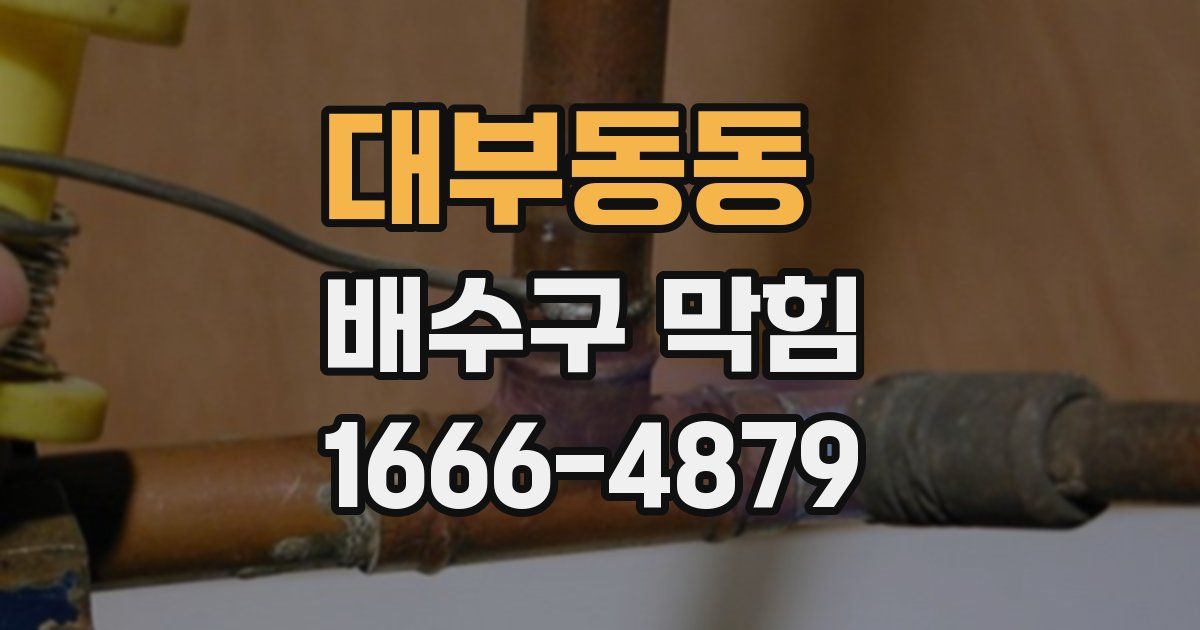 대부동동 배수구 막힘