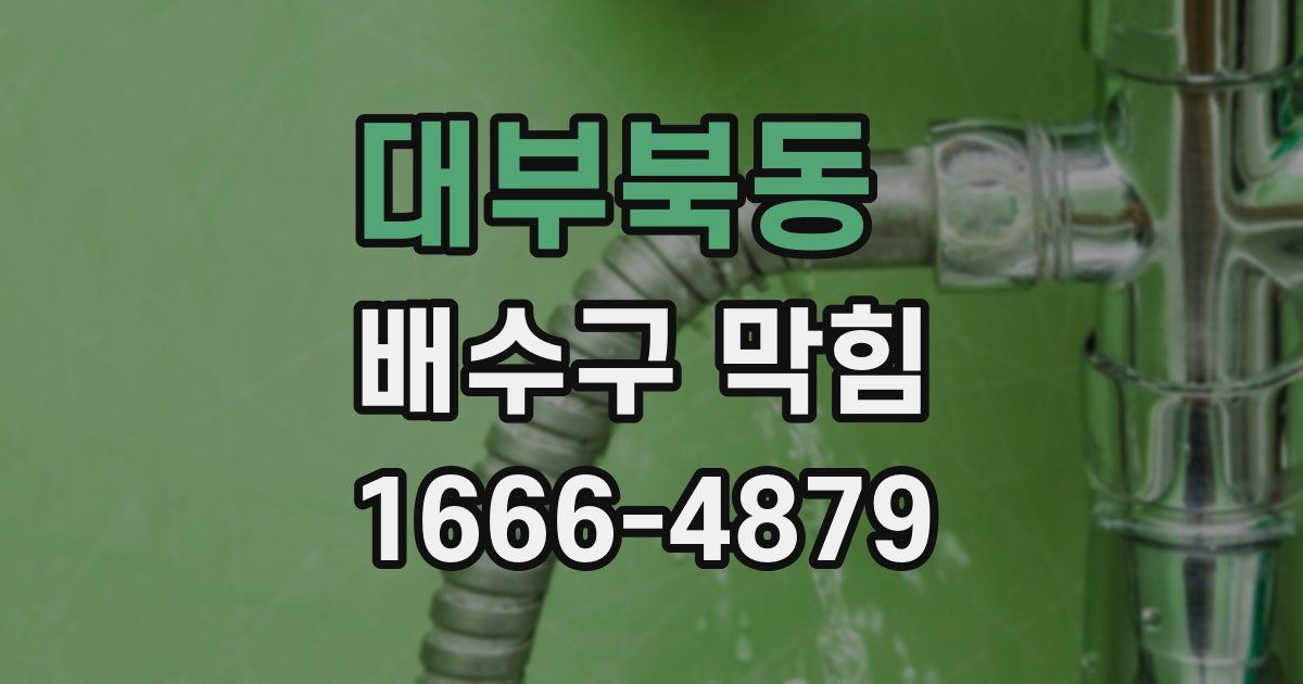 대부북동 배수구 막힘