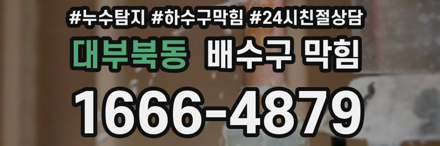 대부북동 배수구 막힘