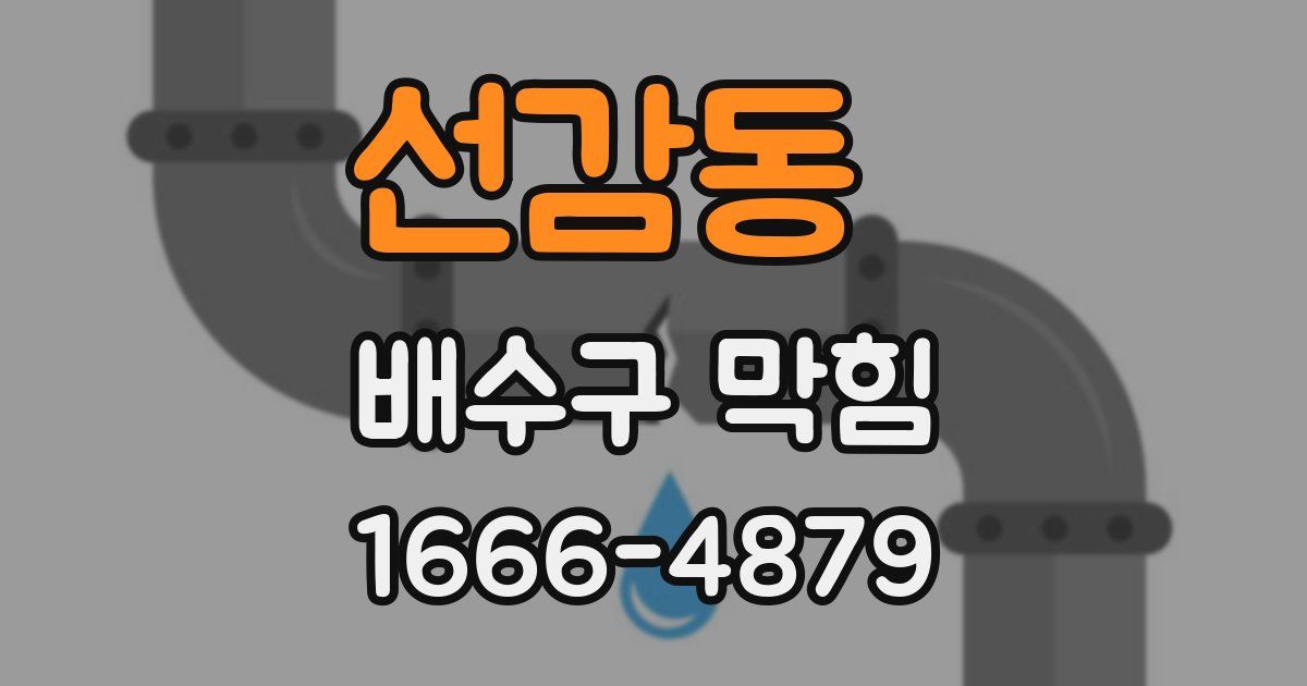 선감동 배수구 막힘
