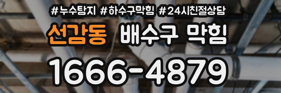선감동 배수구 막힘