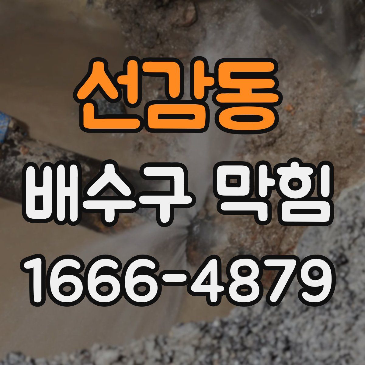 선감동 배수구 막힘