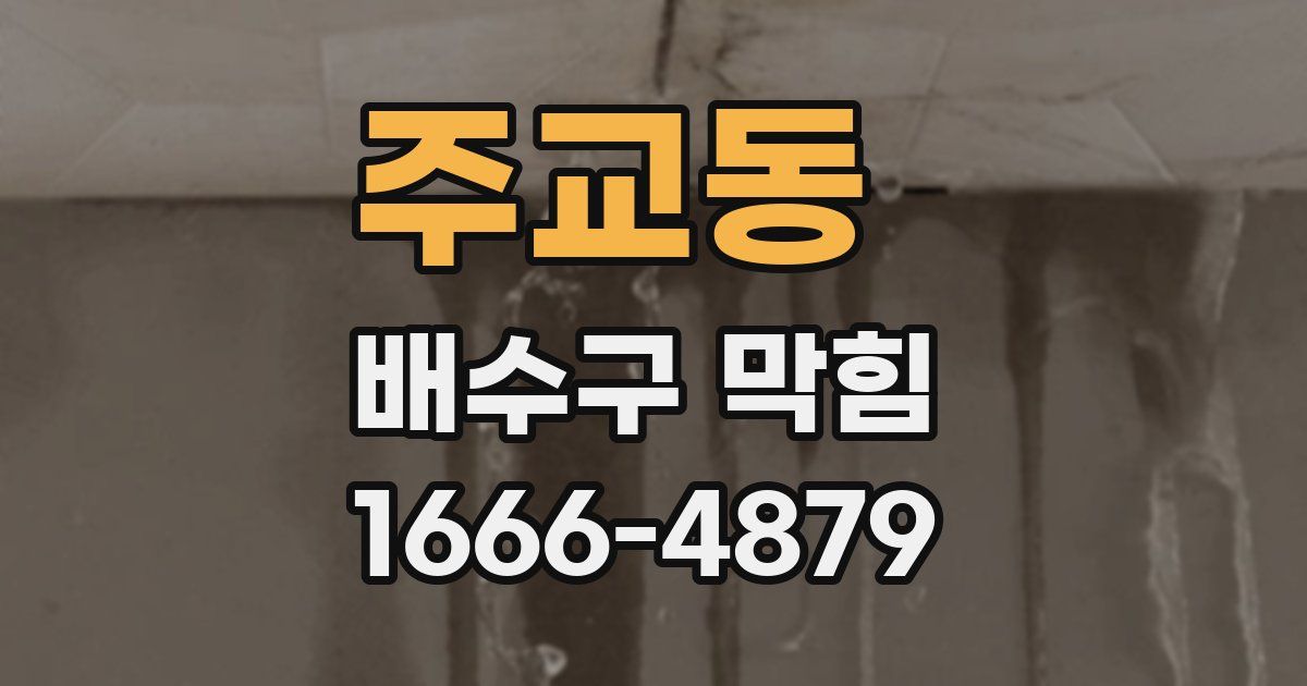 주교동 배수구 막힘
