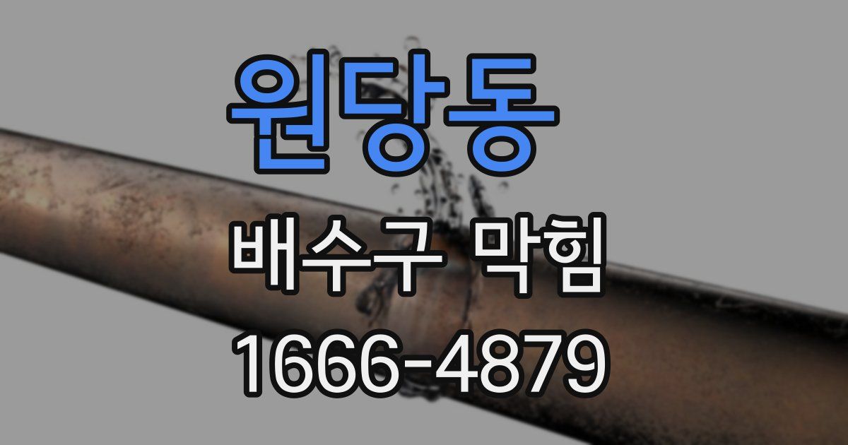 원당동 배수구 막힘