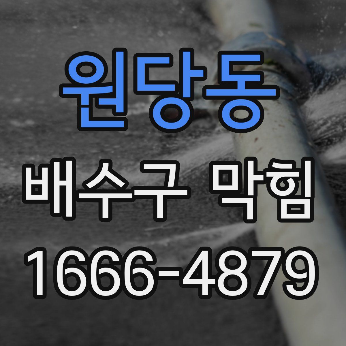 원당동 배수구 막힘