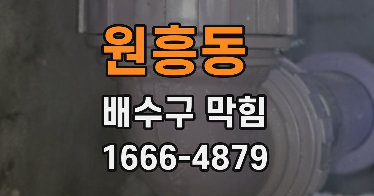 원흥동 배수구 막힘