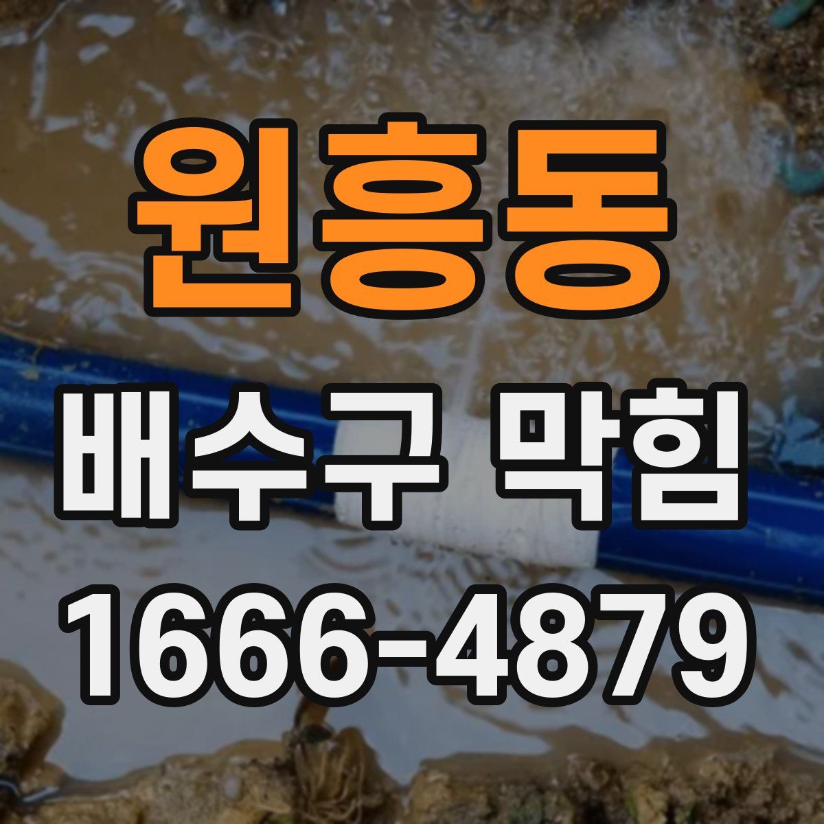 원흥동 배수구 막힘