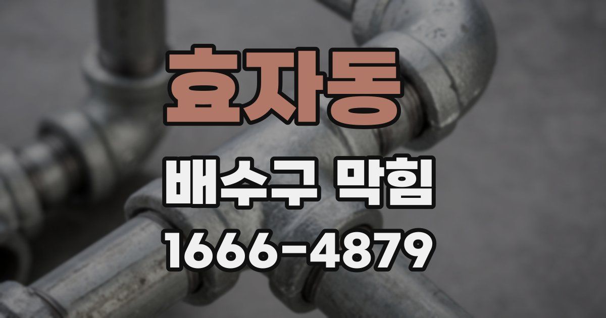 효자동 배수구 막힘