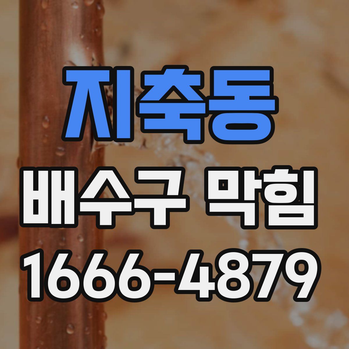 지축동 배수구 막힘