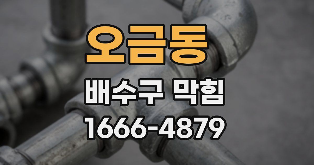 오금동 배수구 막힘