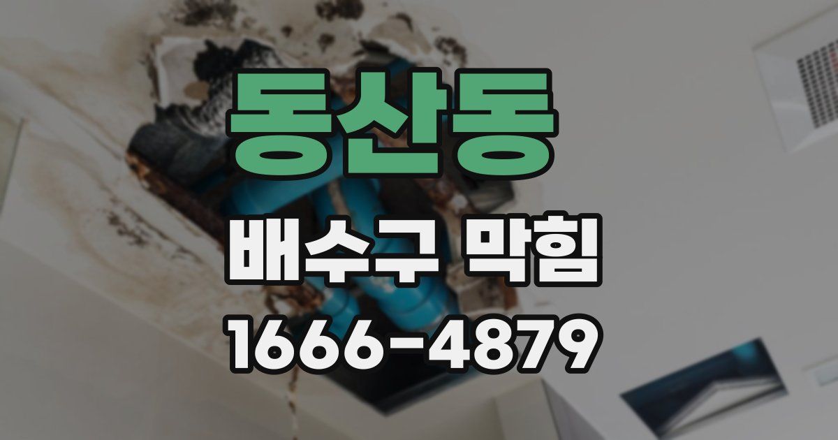 동산동 배수구 막힘