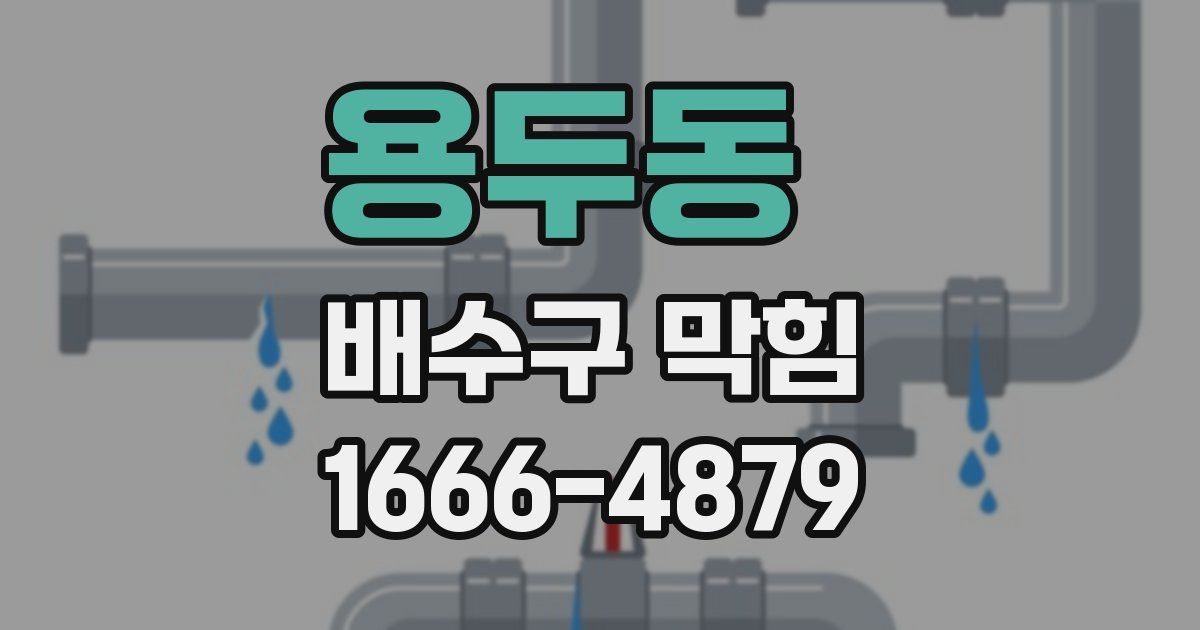 용두동 배수구 막힘