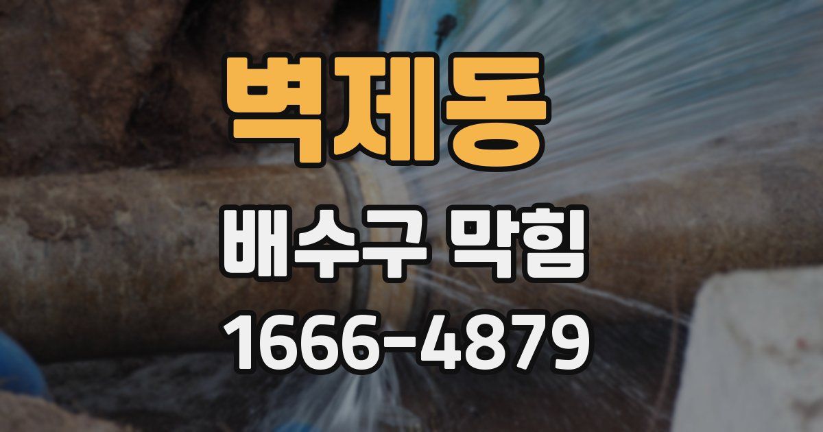 벽제동 배수구 막힘