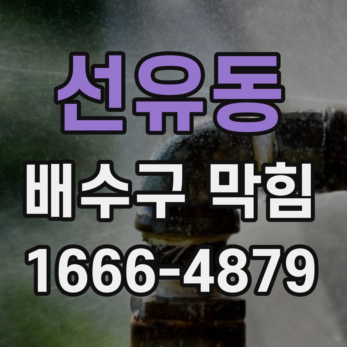 선유동 배수구 막힘