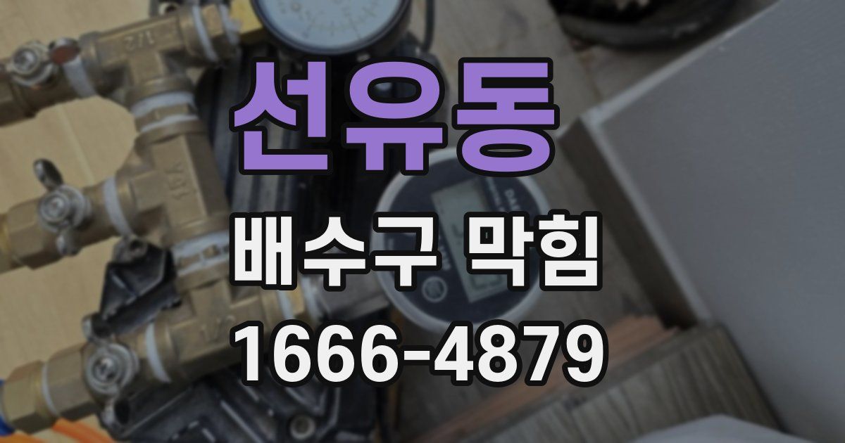 선유동 배수구 막힘