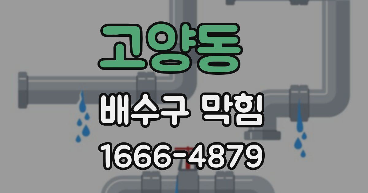 고양동 배수구 막힘
