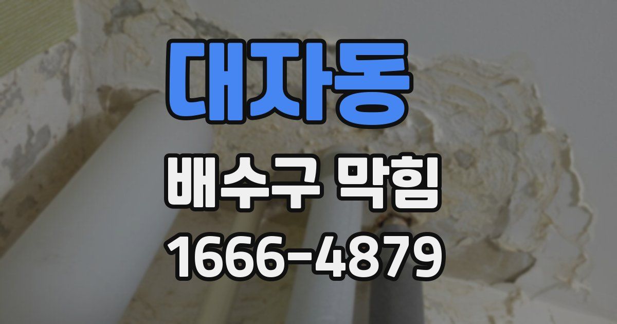 대자동 배수구 막힘