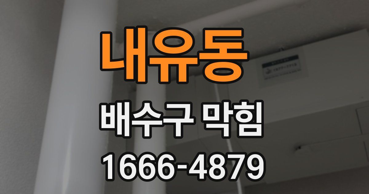 내유동 배수구 막힘