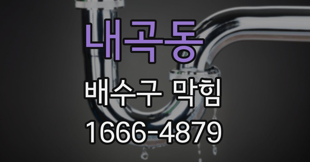 내곡동 배수구 막힘