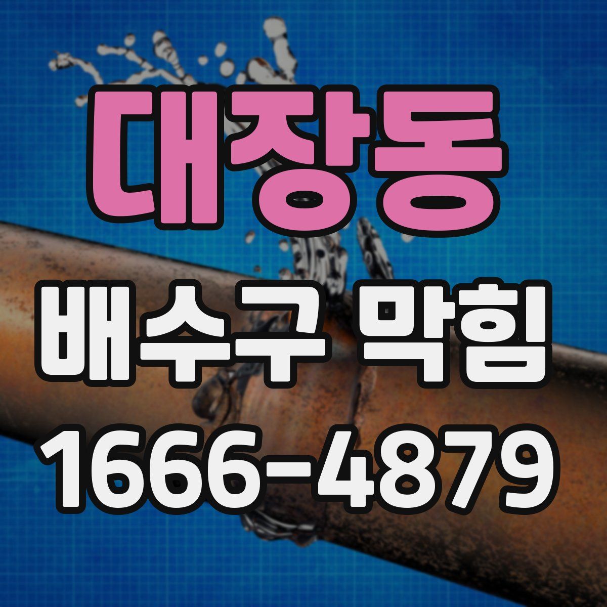 대장동 배수구 막힘
