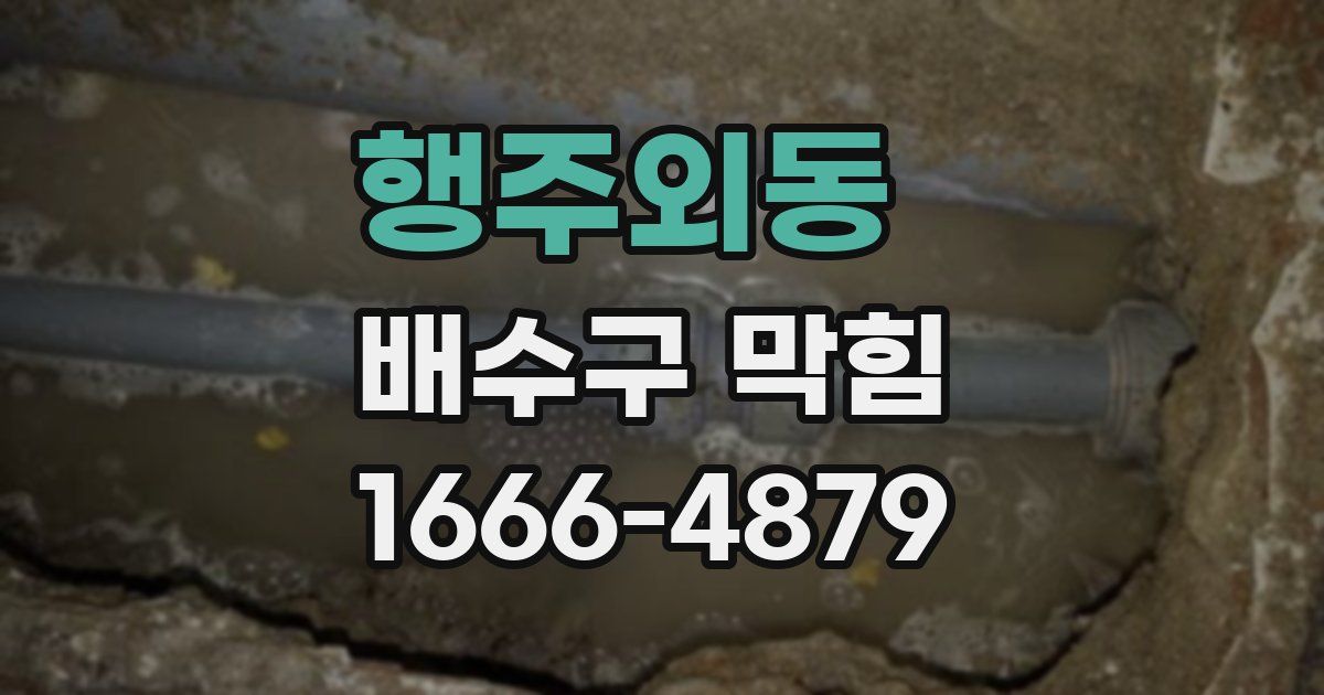 행주외동 배수구 막힘