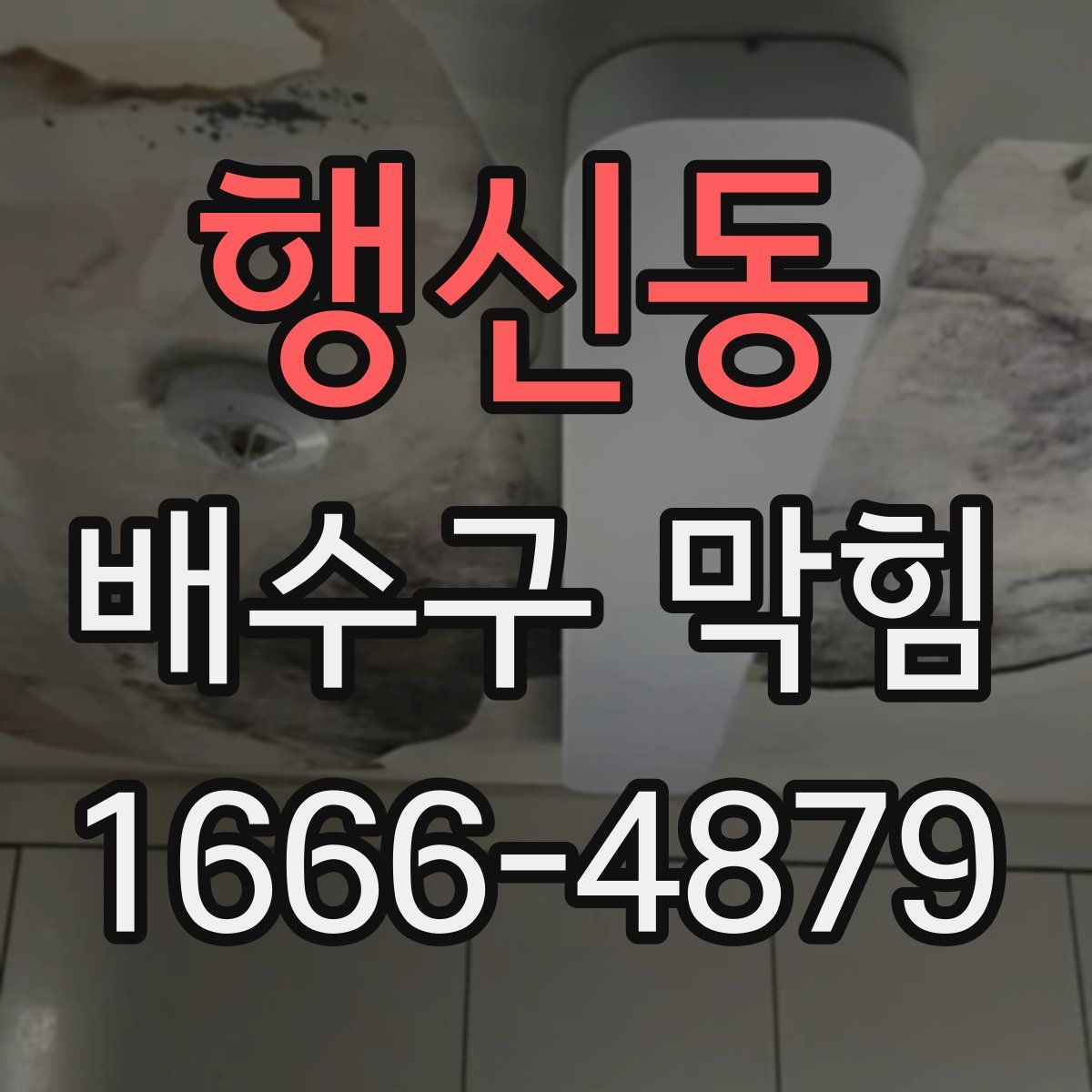 행신동 배수구 막힘