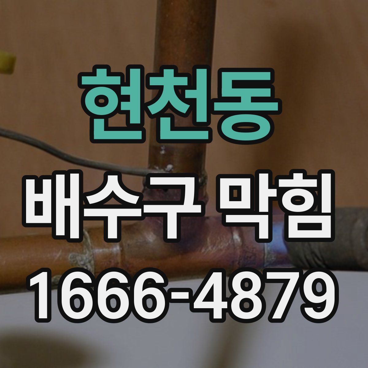 현천동 배수구 막힘