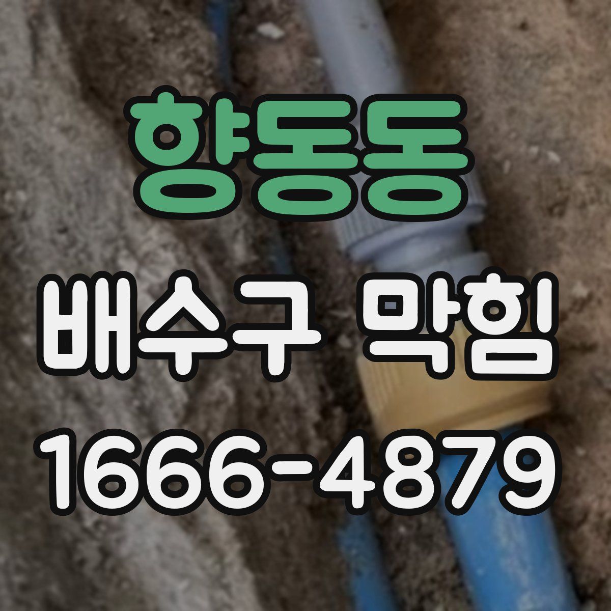 향동동 배수구 막힘