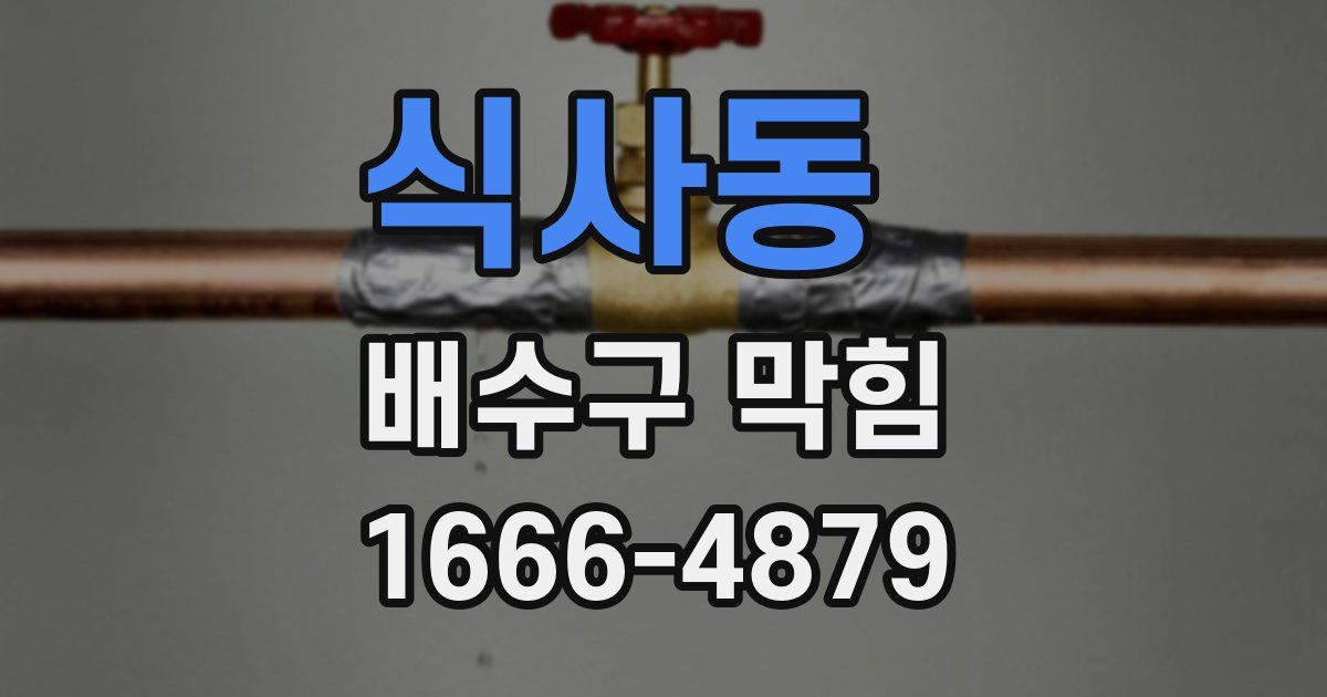 식사동 배수구 막힘