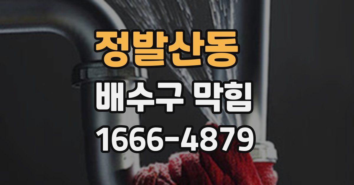 정발산동 배수구 막힘