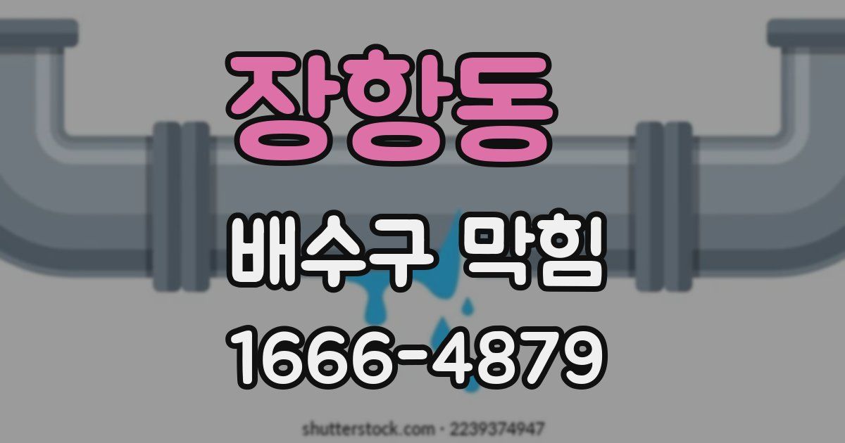 장항동 배수구 막힘