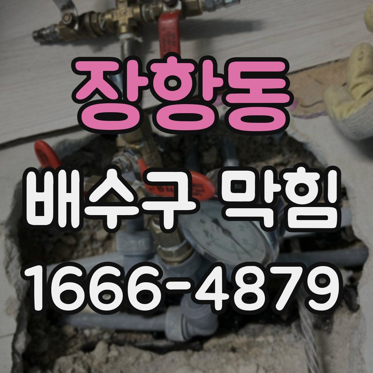 장항동 배수구 막힘