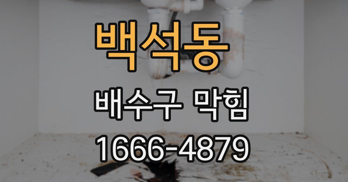 백석동 배수구 막힘