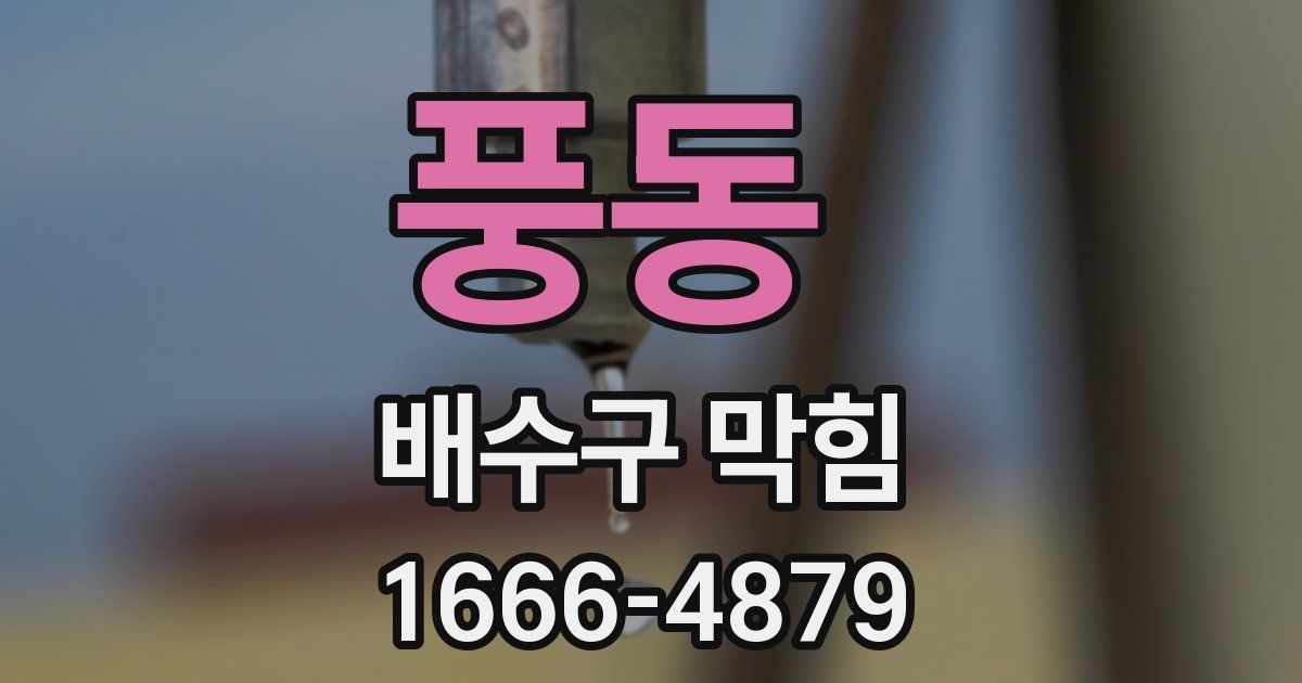 풍동 배수구 막힘