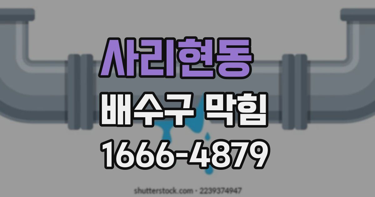 사리현동 배수구 막힘