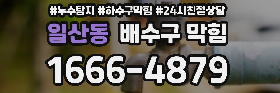 일산동 배수구 막힘