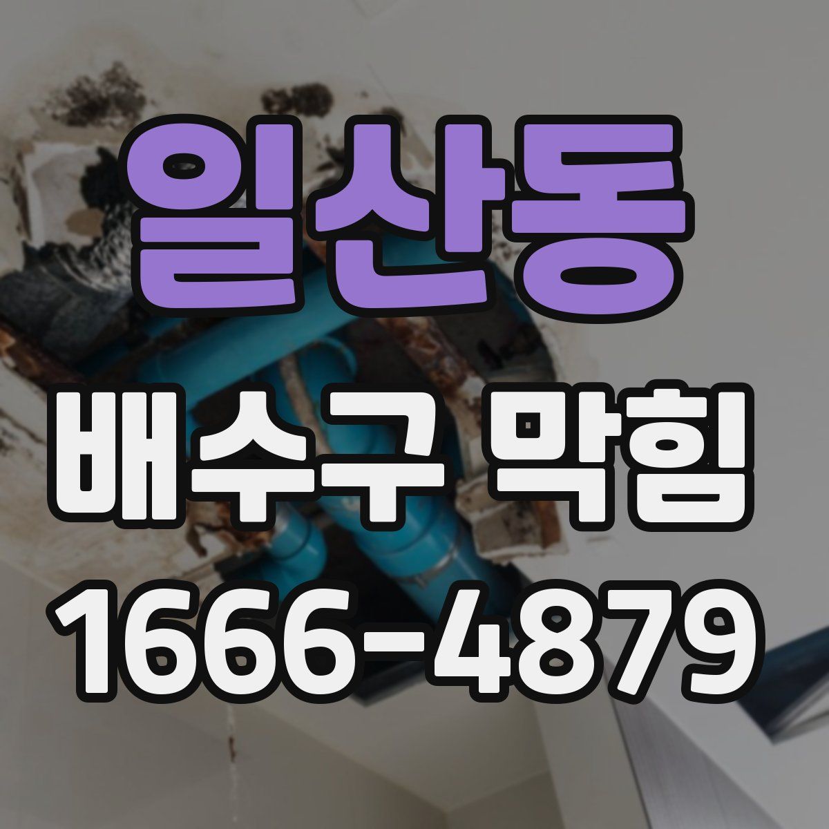 일산동 배수구 막힘