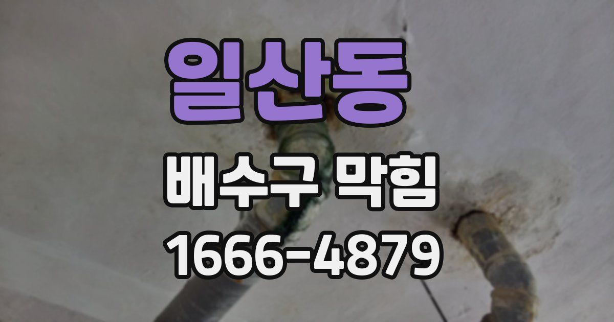 일산동 배수구 막힘