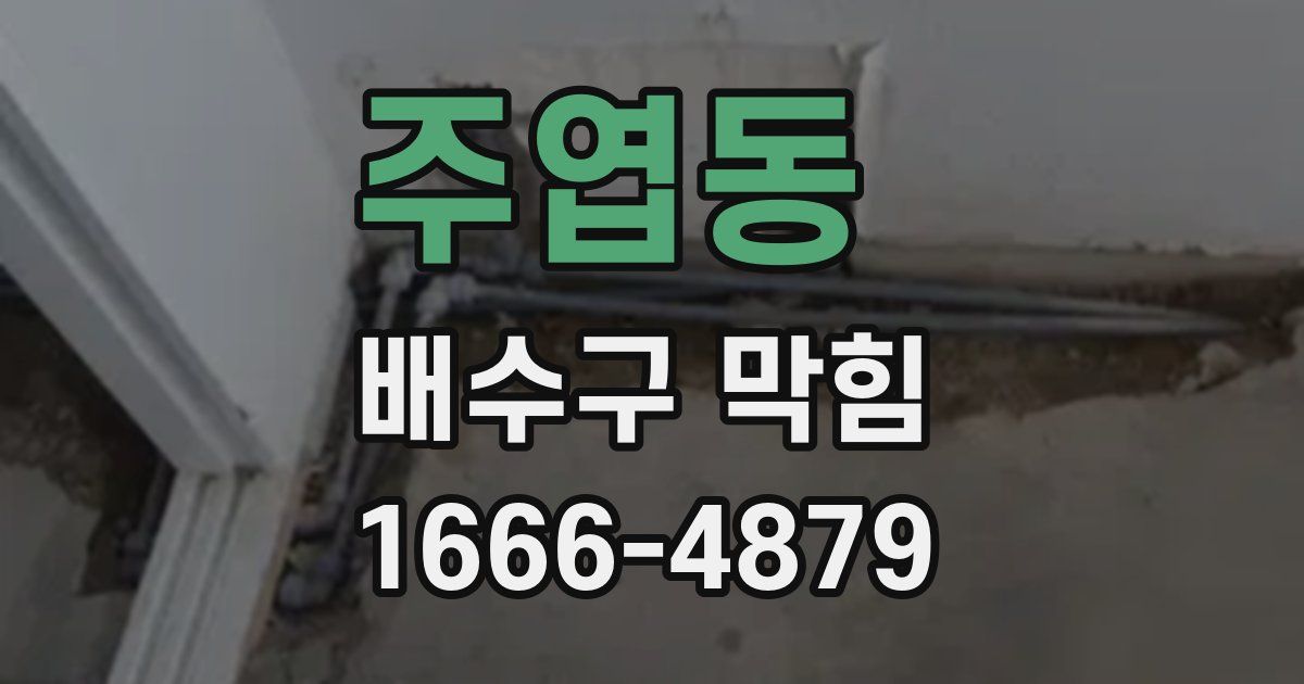 주엽동 배수구 막힘