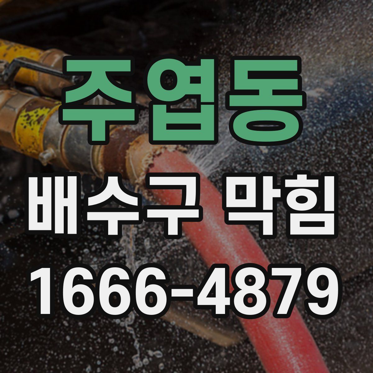주엽동 배수구 막힘