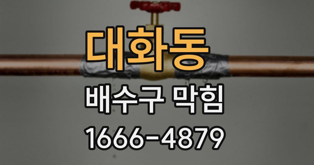 대화동 배수구 막힘