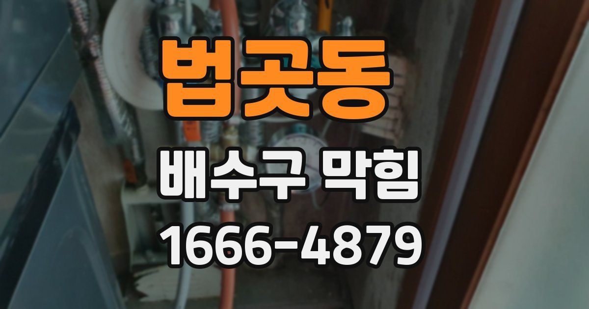 법곳동 배수구 막힘